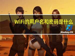 WiFi的用户名和密码是什么
