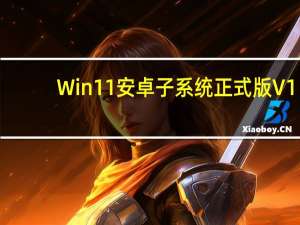 Win11安卓子系统正式版 V1.7.32815.0 官方最新版（Win11安卓子系统正式版 V1.7.32815.0 官方最新版功能简介）