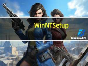 WinNTSetup(系统安装器) V4.6.1 官方正式版（WinNTSetup(系统安装器) V4.6.1 官方正式版功能简介）