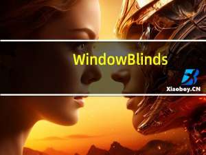 WindowBlinds(Windows系统美化) V10.84 官方版（WindowBlinds(Windows系统美化) V10.84 官方版功能简介）