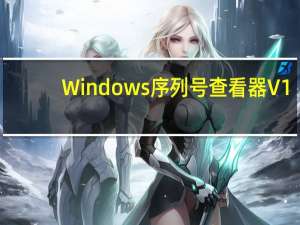 Windows序列号查看器 V1.0 绿色版（Windows序列号查看器 V1.0 绿色版功能简介）