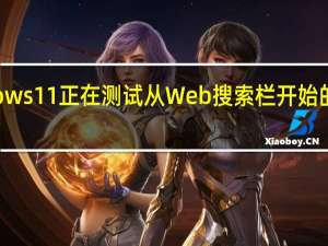 Windows 11 正在测试从 Web 搜索栏开始的桌面小部件
