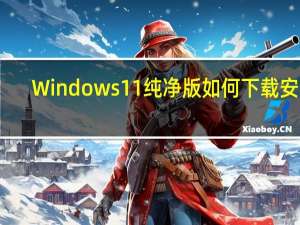 Windows11纯净版如何下载安装
