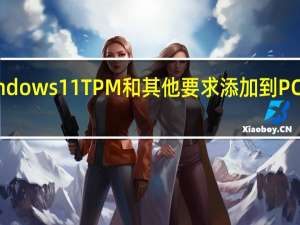 Windows11TPM和其他要求添加到PC健康检查