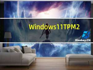 Windows11TPM2.0也可能影响其他软件