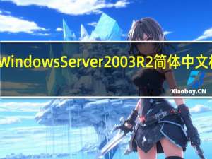 Windows Server 2003 R2 简体中文标准版（Windows Server 2003 R2 简体中文标准版功能简介）