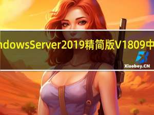 Windows Server 2019精简版 V1809 中文免费版（Windows Server 2019精简版 V1809 中文免费版功能简介）