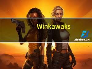 Winkawaks(街机模拟器) V1.63 简体中文版（Winkawaks(街机模拟器) V1.63 简体中文版功能简介）