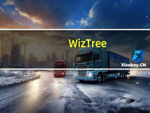 WizTree(大文件查找软件) V3.31.0 官方最新版（WizTree(大文件查找软件) V3.31.0 官方最新版功能简介）