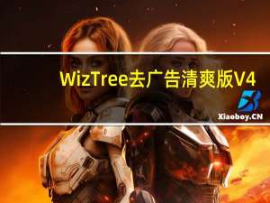 WizTree去广告清爽版 V4.04 免费中文版（WizTree去广告清爽版 V4.04 免费中文版功能简介）