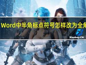 Word中半角标点符号怎样改为全角符号