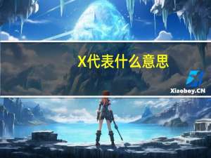 X代表什么意思