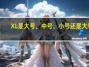 XL是大号、中号、小号还是大号？