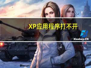XP应用程序打不开