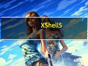 XShell5(Windows ssh客户端) V5.1 Build 0835 官方最新版（XShell5(Windows ssh客户端) V5.1 Build 0835 官方最新版功能简介）