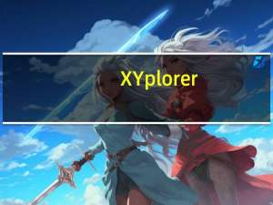 XYplorer(电脑文件管理器) V20.90.0300 官方中文版（XYplorer(电脑文件管理器) V20.90.0300 官方中文版功能简介）