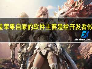 Xcode是苹果自家的软件主要是给开发者做系统适配用的