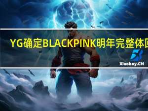 YG确定BLACKPINK明年完整体回归