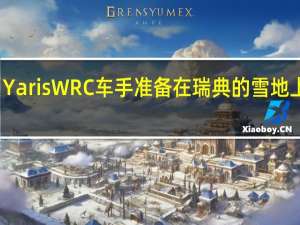 Yaris WRC车手准备在瑞典的雪地上凝视