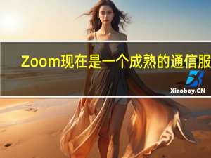 Zoom现在是一个成熟的通信服务