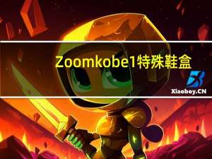 Zoom kobe 1 特殊鞋盒（zoom kobe）