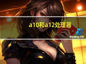 a10和a12处理器（a10和a12）