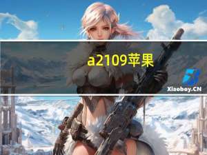 a2109苹果（a2109）