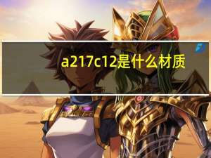 a217c12是什么材质