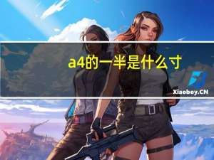 a4的一半是什么寸