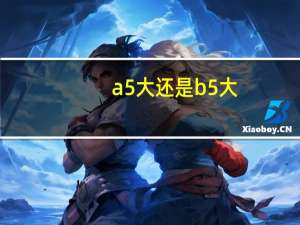 a5大还是b5大
