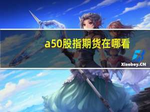 a50股指期货在哪看（a50股指期货）