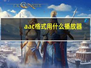 aac格式用什么播放器（aac是什么格式）