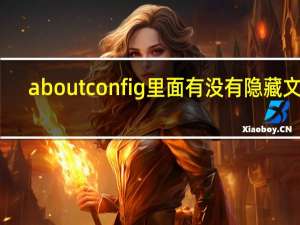 about config里面有没有隐藏文件