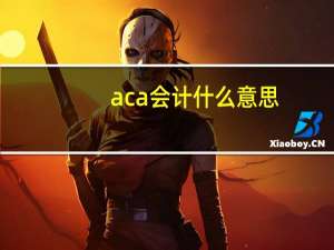 aca会计 什么意思