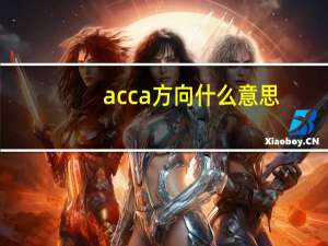 acca方向什么意思