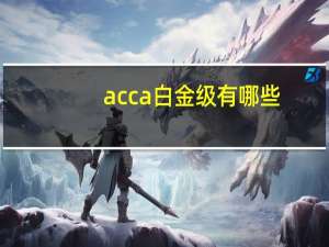 acca白金级有哪些