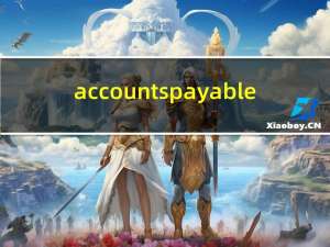 accounts payable（accounts）