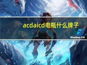 acdaicd电瓶什么牌子