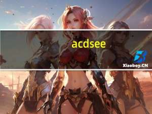 acdsee（中文版）