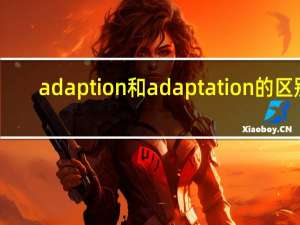 adaption和adaptation的区别