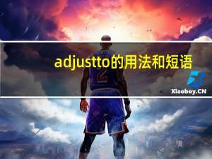 adjust to的用法和短语