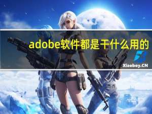 adobe软件都是干什么用的