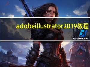 adobe illustrator2019教程（adobe illustrator破解版）