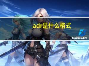 adr是什么格式