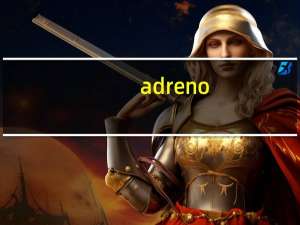 adreno（220）