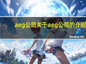 aeg公司 关于aeg公司的介绍