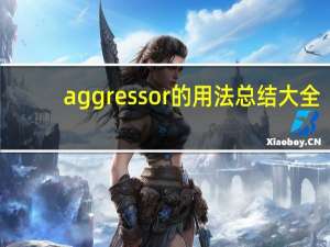 aggressor的用法总结大全