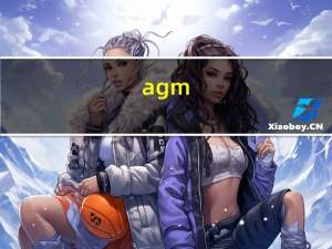 agm（x2）