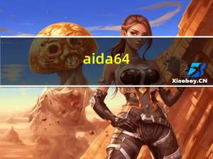 aida64（hwinfo）