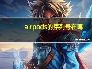 airpods的序列号在哪
